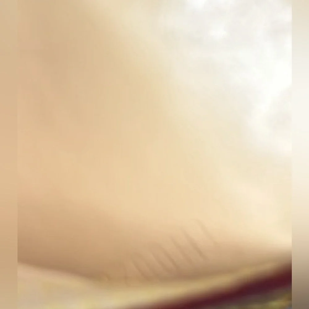 Louis Vuitton Murakami Wallet - Picture 10 of 10